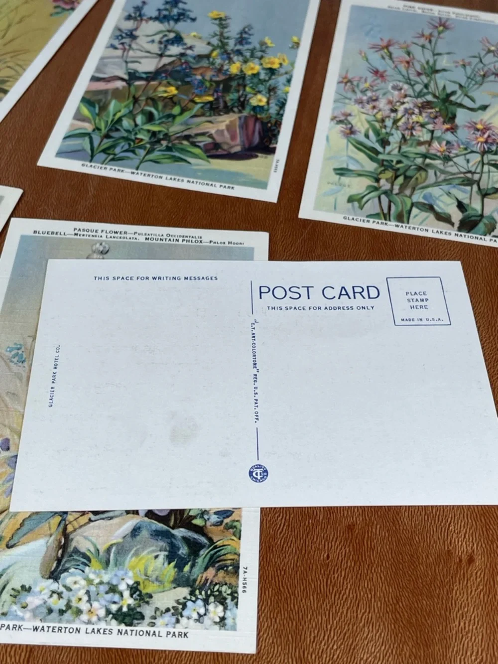 Vintage Pack of Postcards Glacier-Waterton National Parks Floral Set of 12